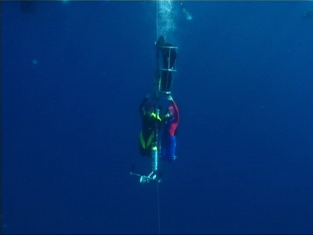 Mandy and Audry on a no-limits dive