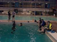 Students in the pool