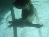 Tom Lightfoot starting a dive with the Aqueon