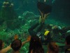 Andrew in a Vancouver Aquarium tank impressing some kids during the recent Diver's Weekend.