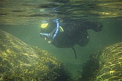 Snorkeling amongst the sandstone boulders