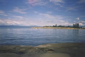 The view to the right at Whaling Station Bay