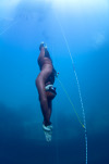 Jana on her way down to the 54m mark at Worlds in Dean's Blue Hole, Bahamas