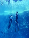 Jana Strain ascends from a national record depth of 53m in a Constant Ballast without Fins dive at the Triple Depth Competition in Dahab, Egypt