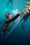 Jana Strain at the Vertical Blue competition at Dean's Blue Hole, Bahamas