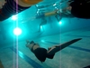 Jill Yoneda on her way to a new 150m national record in Dynamic Apnea